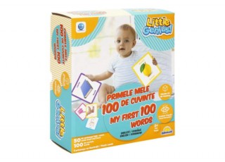 Primele Mele 100 de Сuvinte (My First 100 Words) (ro)
