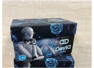 Давид (DAVID) (рум.)