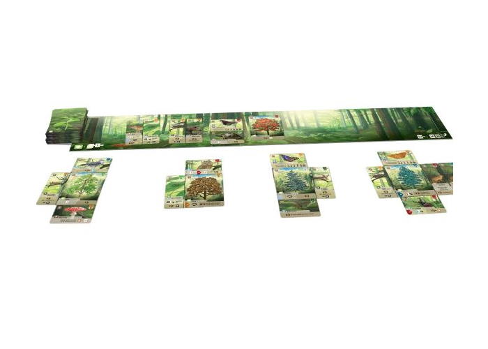 Компоненты настольной игры Смешанный лес (рум.)